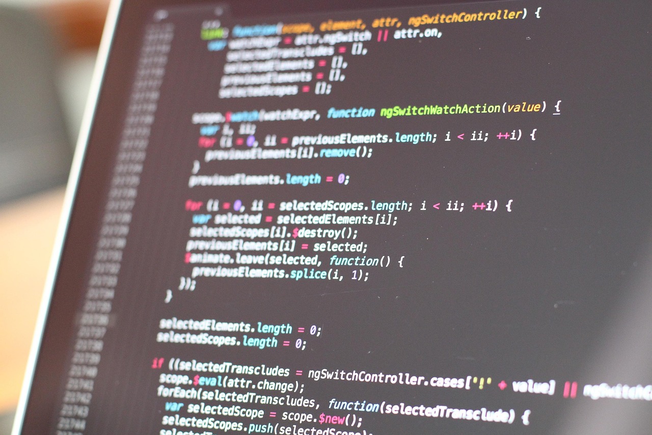 program code